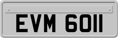EVM6011