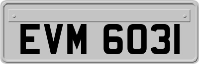EVM6031