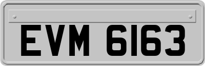 EVM6163