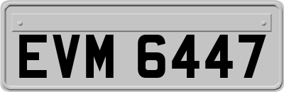 EVM6447