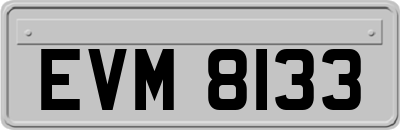 EVM8133