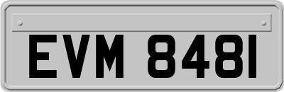 EVM8481