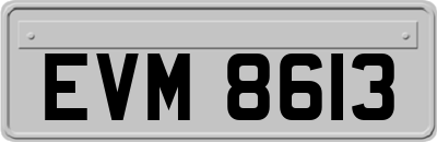 EVM8613
