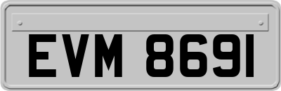 EVM8691