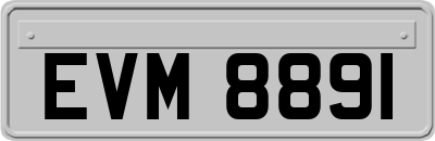 EVM8891