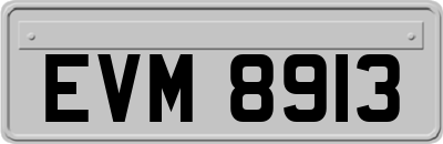 EVM8913