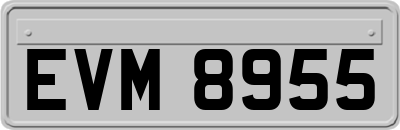 EVM8955