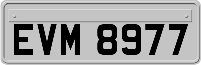 EVM8977