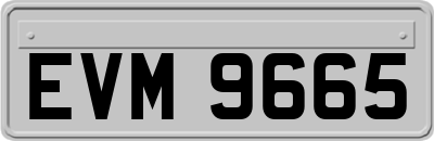 EVM9665