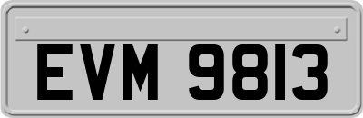 EVM9813