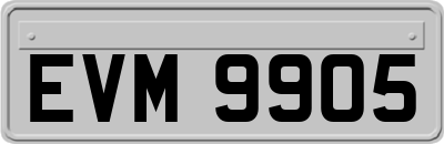 EVM9905
