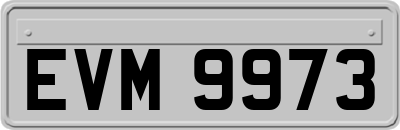EVM9973
