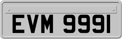 EVM9991