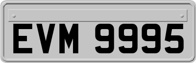 EVM9995