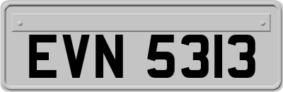 EVN5313