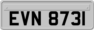 EVN8731