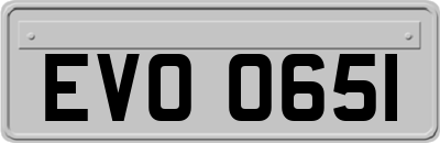 EVO0651