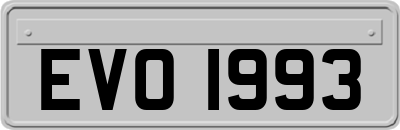 EVO1993