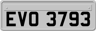 EVO3793