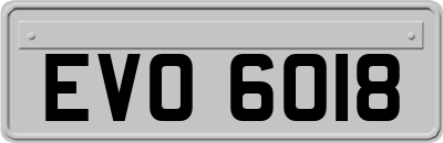 EVO6018