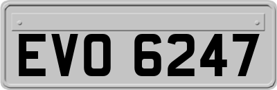 EVO6247