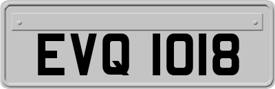 EVQ1018
