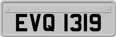 EVQ1319