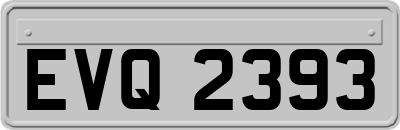EVQ2393