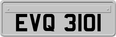 EVQ3101