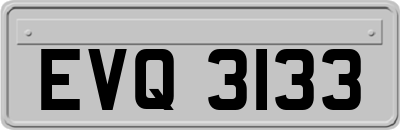 EVQ3133