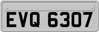 EVQ6307
