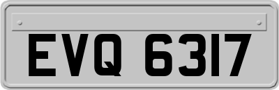EVQ6317