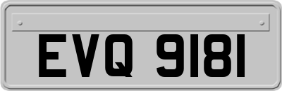 EVQ9181