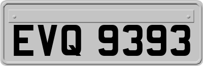 EVQ9393