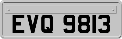 EVQ9813