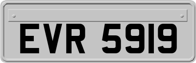 EVR5919