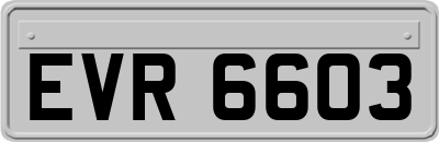 EVR6603
