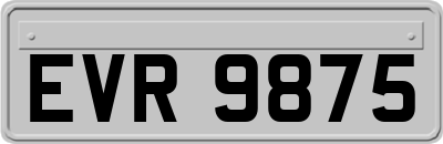 EVR9875