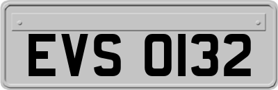 EVS0132