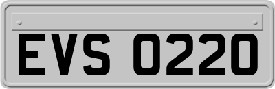 EVS0220