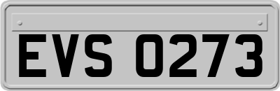 EVS0273