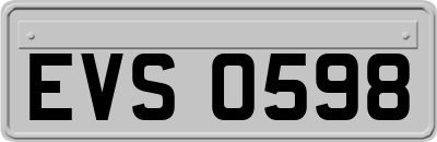 EVS0598
