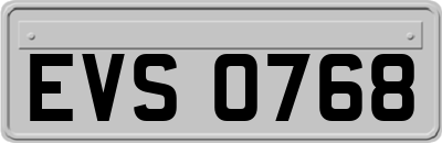 EVS0768