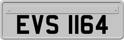 EVS1164