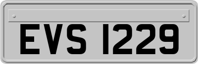 EVS1229
