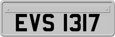 EVS1317