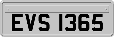 EVS1365