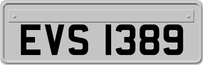 EVS1389