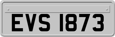 EVS1873