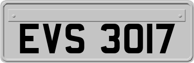 EVS3017